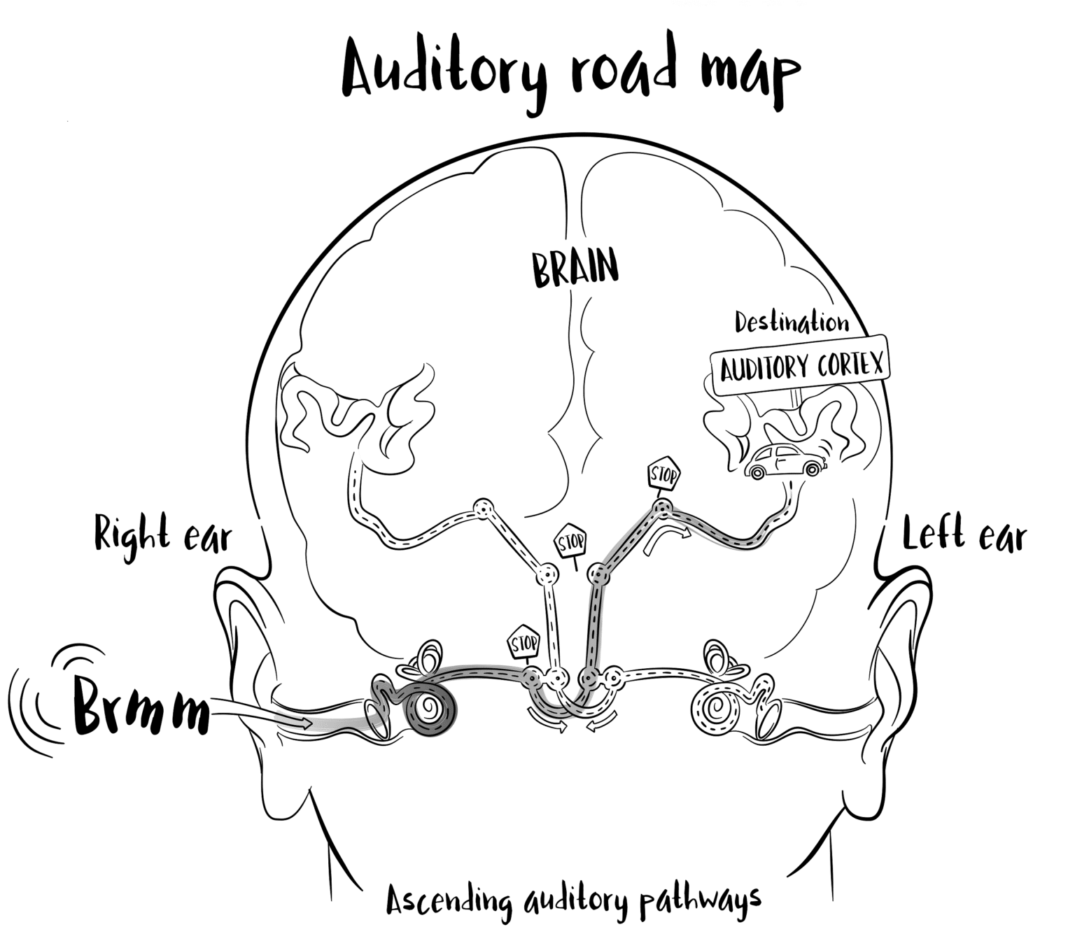 listening-comprehension-why-it-matters-dyslexia-octopus