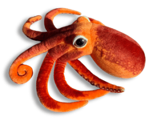 welcome to dyslexia octopus